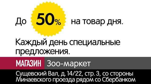 shop t1 2 зоо маркет смотреть онлайн