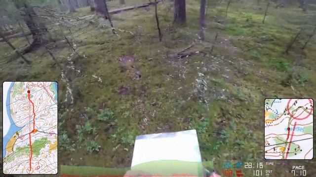 Orienteering ORingen 2017 Day 5 M40 смотреть онлайн