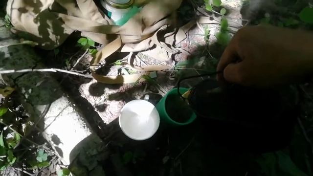 Прогулка в лес к истоку реки. смотреть онлайн