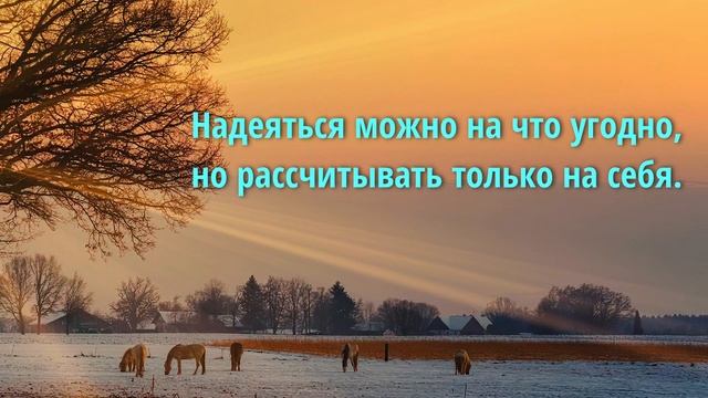 Потрясающие цитаты и афоризмы мудрых людей Важные Высказывания смотреть онлайн