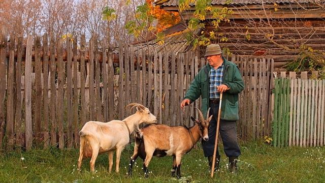 Останутся скоро в селе лишь одни старики.