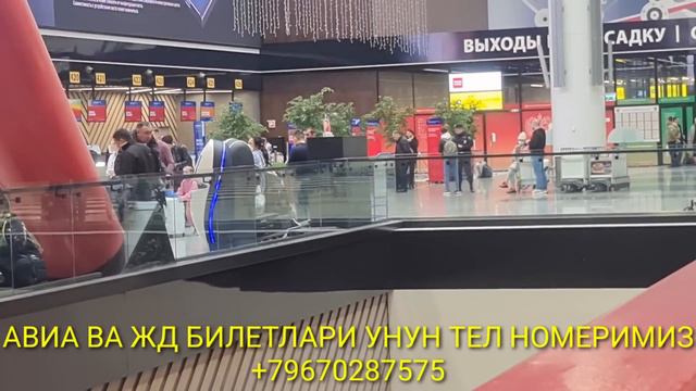 ДАХШАТ 🤯 ШЕРЕМЕТОВО АЭРОПОРТИДА ✈️✈️✈️БЕЗ ДАКУМЕНТЛАРНИ ДЕПОРТ КИЛЯПДИ смотреть онлайн