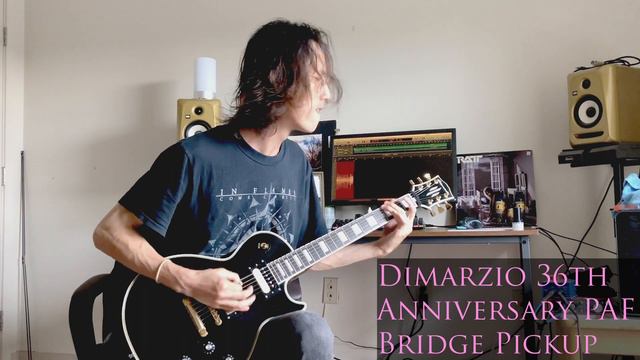 TECHNICAL DEATH METAL ON VINTAGE PICKUPS - Dimarzio 36th Anniversary PAF - EDWARDS LP CUSTOM смотреть онлайн