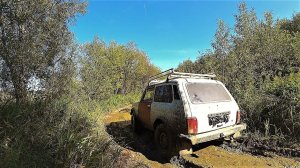 ЗАКРЫЛИ И СОЖГЛИ В 90Х! ИСЧЕЗНУВШАЯ ДЕРЕВНЯ СССР!