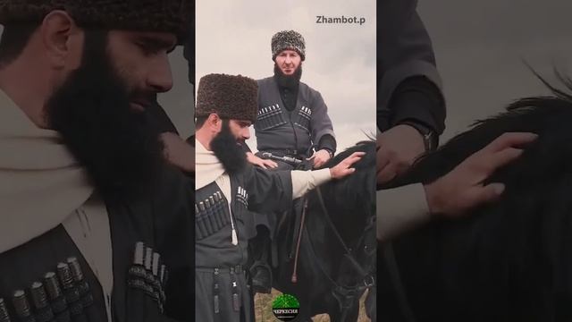 Кабардинская (Черкесская) лошадь. Черкесы (адыги). Черкесия. Кабарда. смотреть онлайн