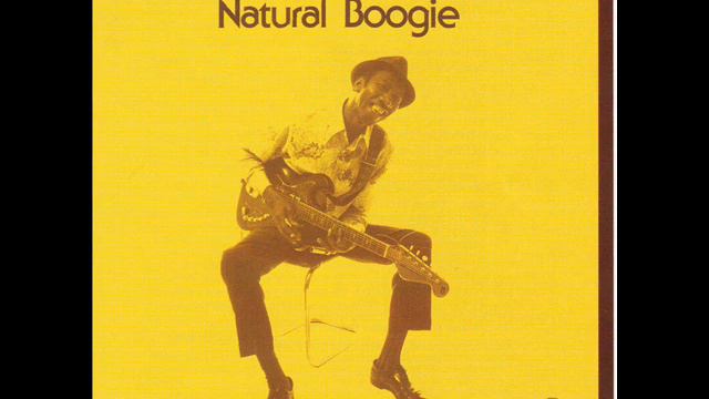 Hound Dog Taylor - Hawaian Boogie смотреть онлайн