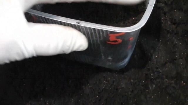 СЕМЕНА ПЕРЦА ВЗОЙДУТ ОЧЕНЬ БЫСТРО ПРИ ТАКОМ СПОСОБЕ ПОСЕВА смотреть онлайн
