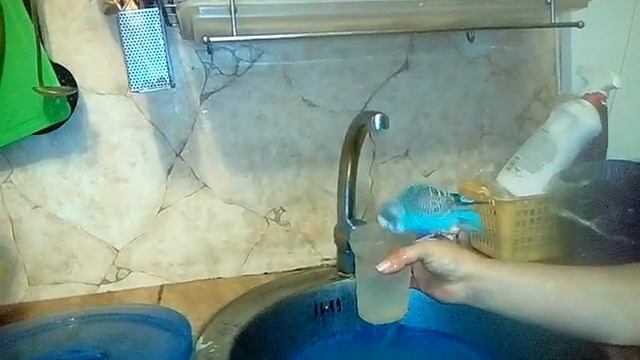 Попугай жарко смотреть онлайн