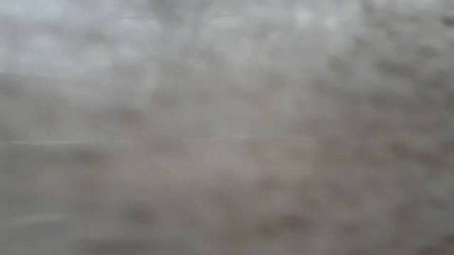 поездка на 85 маршруте гос ев 807 24 ветлужанка в черемушки в красноярске смотреть онлайн