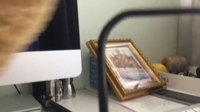 Находки в Сочи. смотреть онлайн