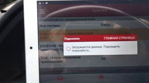 Launch Активация марок/Launch activation of brands