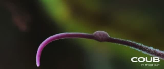 приколы - ??????????? смотреть онлайн