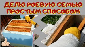 Отводок от роевой семьи.- Как быстро расширить пасеку.