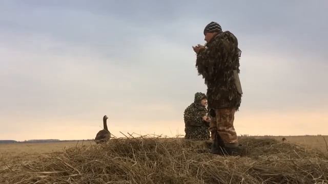 Охота на Новгородчине. смотреть онлайн