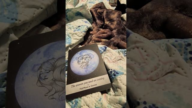 Cancer ♋ 2023 NEW MOON ? Oracle Message ✨ Extended Version смотреть онлайн