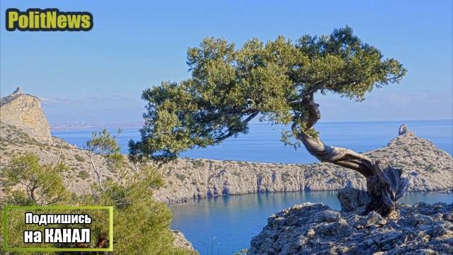 В ООН пытались запретить российским правозащитникам произносить слово "Крым" смотреть онлайн