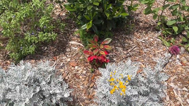 Making a Spreadsheet of my Garden Beds