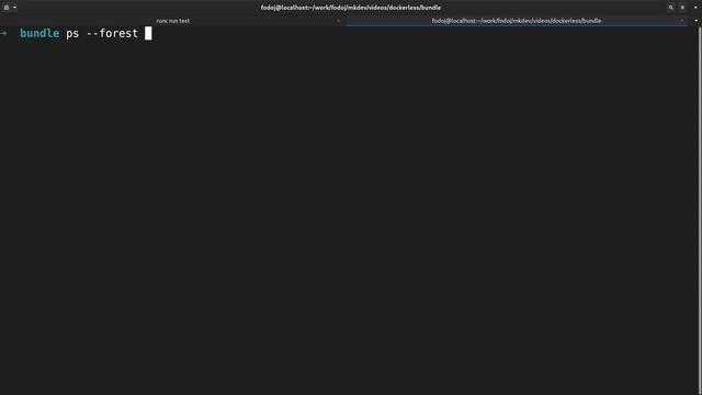 How to use runc to run containers without Docker смотреть онлайн