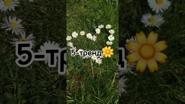 А вы знаете у меня есть тик ток аккаунт тик ток акк@_fnf_sarvente_gachass????!! смотреть онлайн