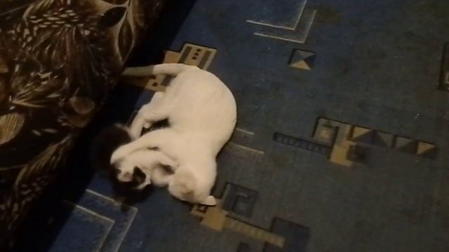 Кнопка играет с Мамой смотреть онлайн