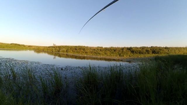 ЛОВЛЯ ЩУКИ НА ДИКОЙ РЕКЕ (щука на поплавок) смотреть онлайн