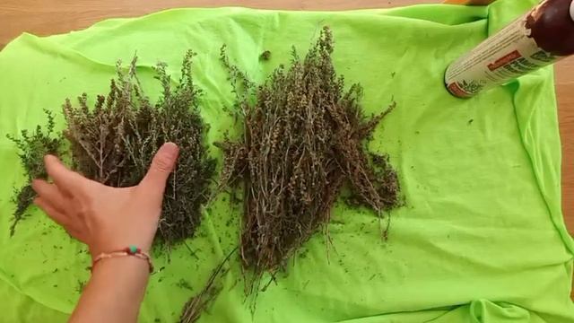 ПОЛЫНЬ ДЛЯ ТЕХ, КОМУ 60+ смотреть онлайн