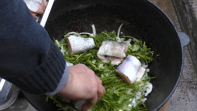 РЫБА в КАЗАНЕ на КОСТРЕ. РЫБА с ОВОЩАМИ ТУШЕНАЯ с ЛУКОМ в ТОМАТЕ. РЫБА в ТОМАТНОМ СОУСЕ с ЛУКОМ. смотреть онлайн