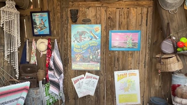 DISNEY’S TYPHOON LAGOON WATERPARK! Our First Experience and Tour of the Park & all the of fun rides смотреть онлайн