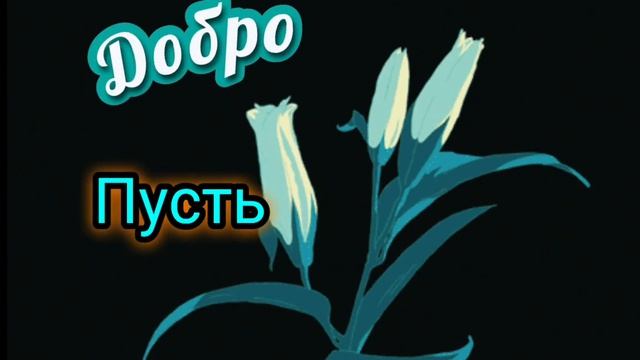 Доброй ночи!Сладких снов! смотреть онлайн