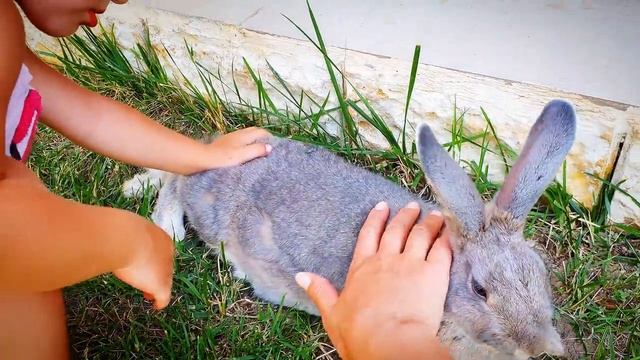 ещё один ДЕНЬ из нашей ЖИЗНИ на ТУРЕЦКОЙ ДАЧЕ в ЧЕШМЕ ✅ ТУРЦИЯ ИЗМИР ЧЕШМЕ смотреть онлайн
