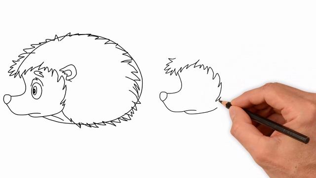 Як намалювати їжака, малюємо їжака крок за кроком смотреть онлайн
