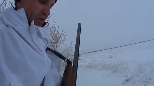 Зайчатники на косулячей охоте смотреть онлайн