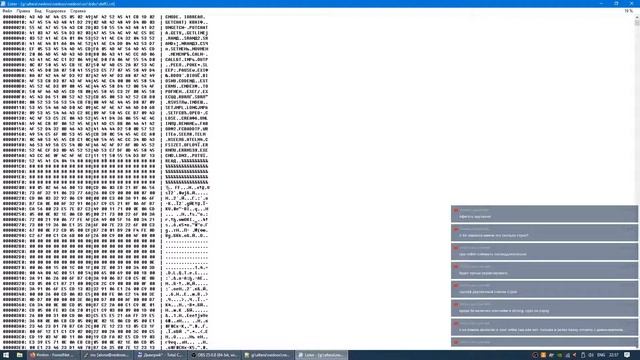 NedoOS: texted fix, BDS C gfx lib, NedoLang смотреть онлайн