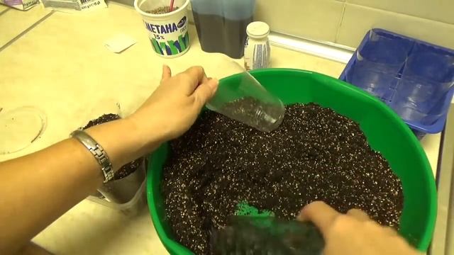 Пекинская капуста. Сеем на рассаду смотреть онлайн