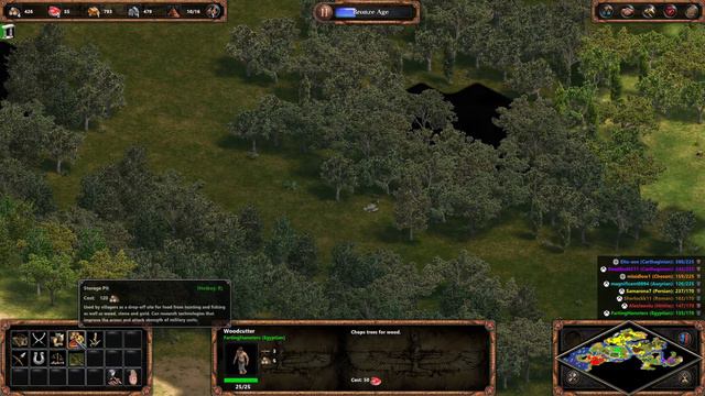 Age of Empires Definitive Edition - Multiplayer Online Game - Gameplay - Death by Elephants смотреть онлайн