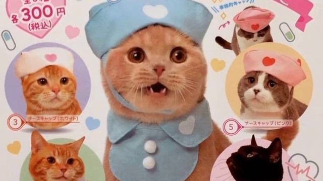 Янтарные кошачьи глаза (саблиминал). смотреть онлайн