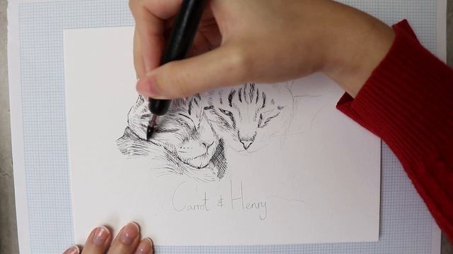 How I Draw Cats with Pencil & Ink смотреть онлайн