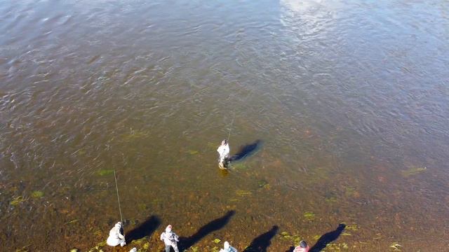 Семинар по евронимфингу ( Euronymphing ) . Нимф-О-Мания 2022. смотреть онлайн