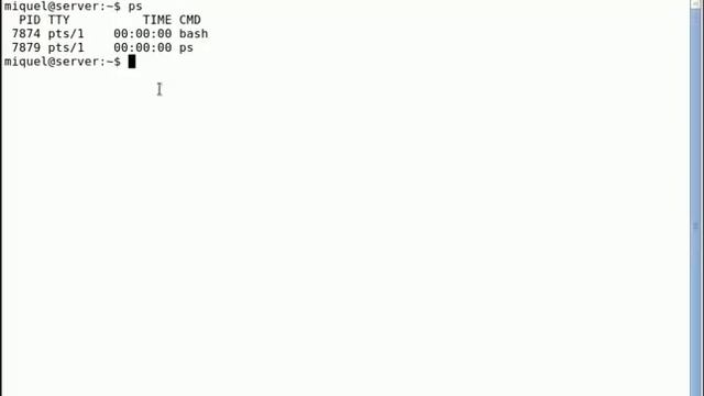 01- ps (proces status) - getting current session processes смотреть онлайн