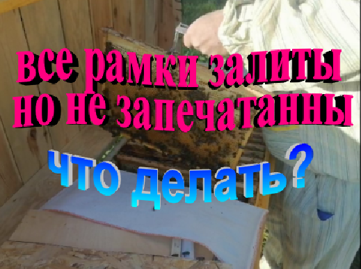 Что делать если в лежаке все рамки залиты но не запечатанные. смотреть онлайн