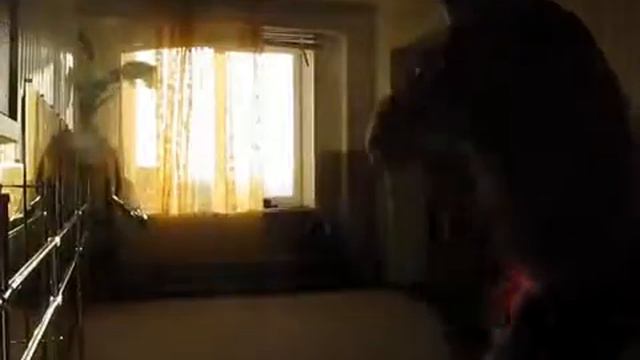 багуачжан vs багуачжан смотреть онлайн