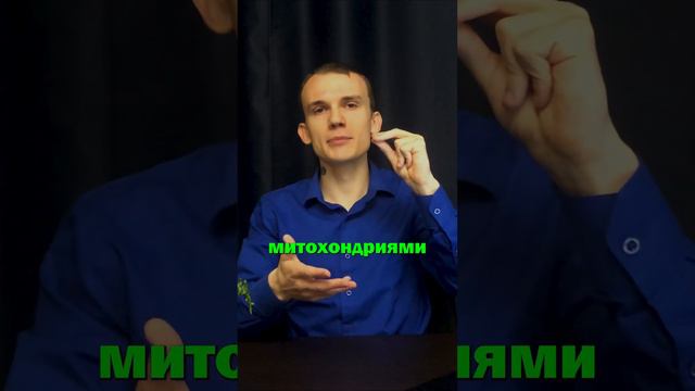 НЕЙРОН это простыми словами смотреть онлайн