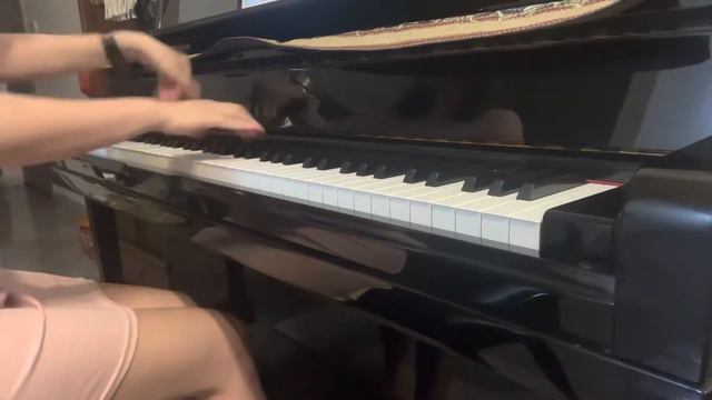 Genshin Impact: Ruu’s song piano cover смотреть онлайн