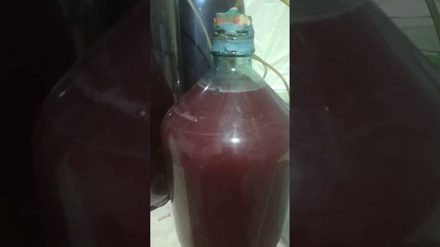 Вино смесь малдова и изабела.2020год