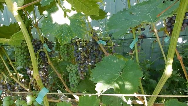 Чтобы Красень не сыпался. смотреть онлайн