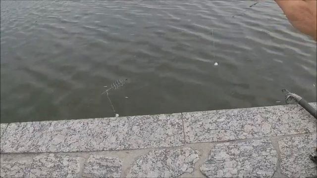 Ловля на пенопласт - тапочки + . Два дня на парапете . 2 : 0 в пользу парапета . смотреть онлайн