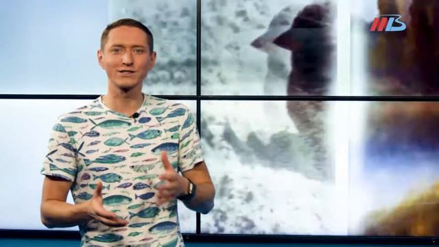 День Мирона Ветрогона: что категорически нельзя делать 30 августа смотреть онлайн