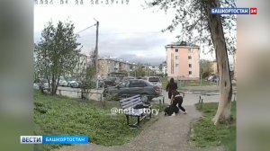 Жесткая драка трех девушек в башкирском Нефтекамске попала на видео