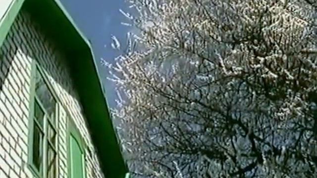 Семейное видео 5 Апреля 2008 год смотреть онлайн