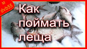 Как поймать леща зимой в стоячей воде